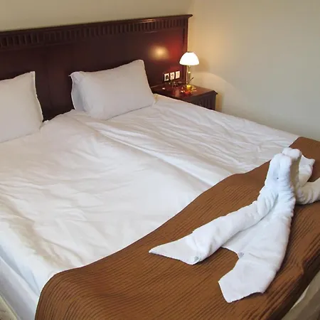 Appartement Downtown Alexander Services