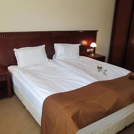 Downtown Alexander Services Appartement *