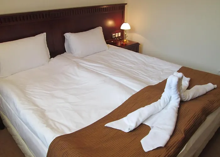 Apartment Downtown Alexander Services