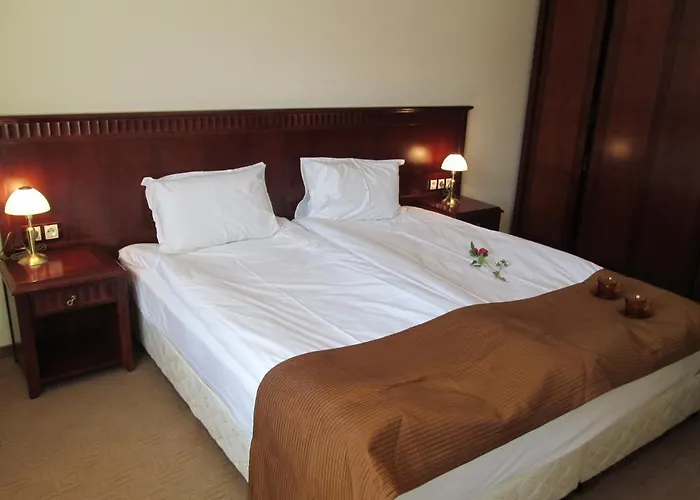 Downtown Alexander Services Apartment *